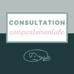 Consultation comportementale