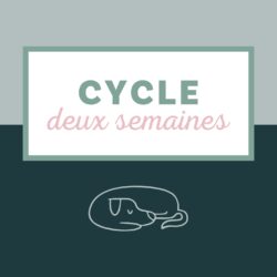 Cycle deux semaines