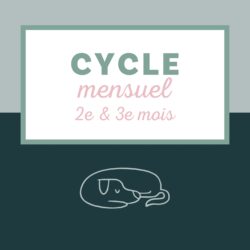 Cycle mensuel (2e/3e)