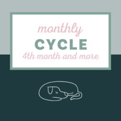 Monthly cycle (4th/+)