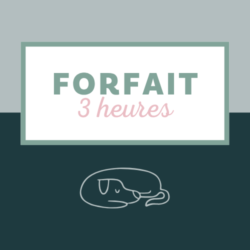 Forfait de 3h