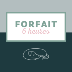 Forfait de 6h