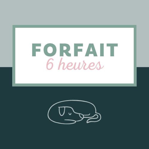 Forfait de 6h