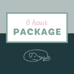 6 hour package