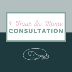 1-Hour In-Home Consultation