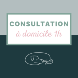 Consultation à domicile - 1h